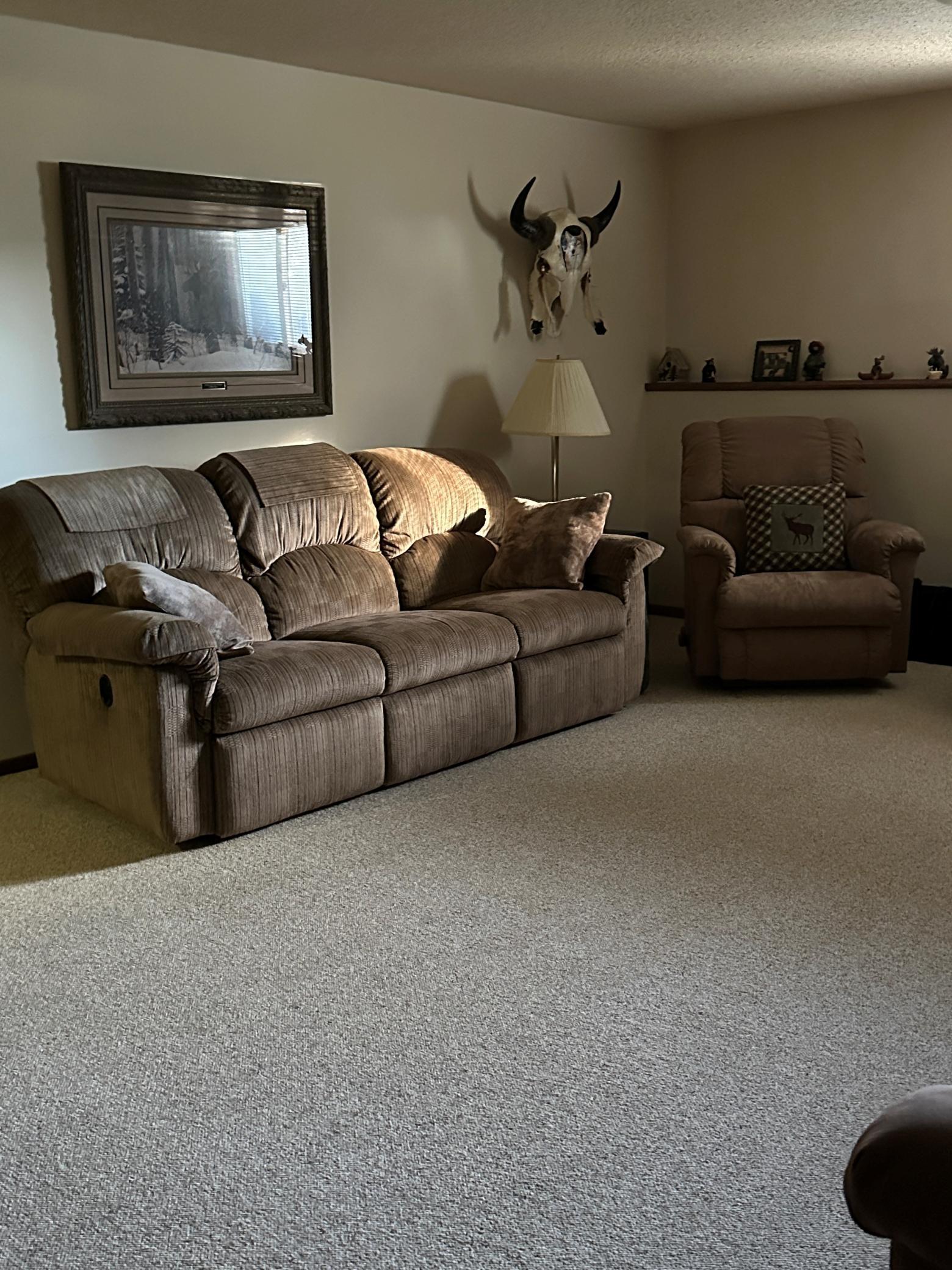 113 East Fairview Street Spring Valley, MN 55975 - Photo 12 of 36