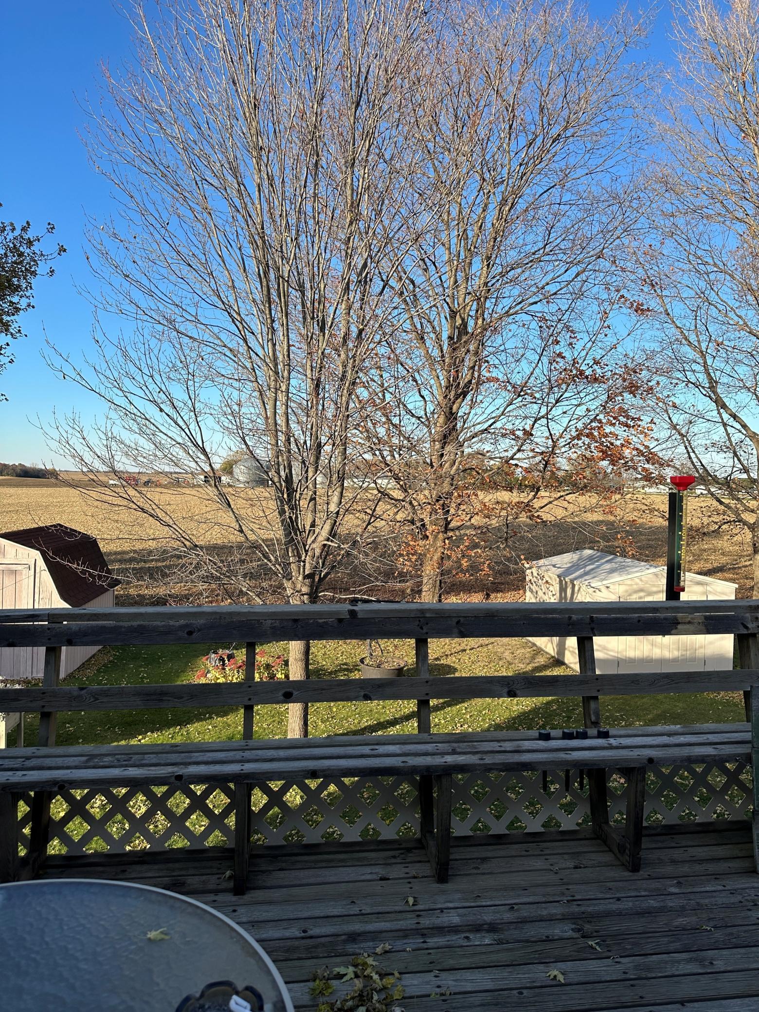 113 East Fairview Street Spring Valley, MN 55975 - Photo 17 of 36