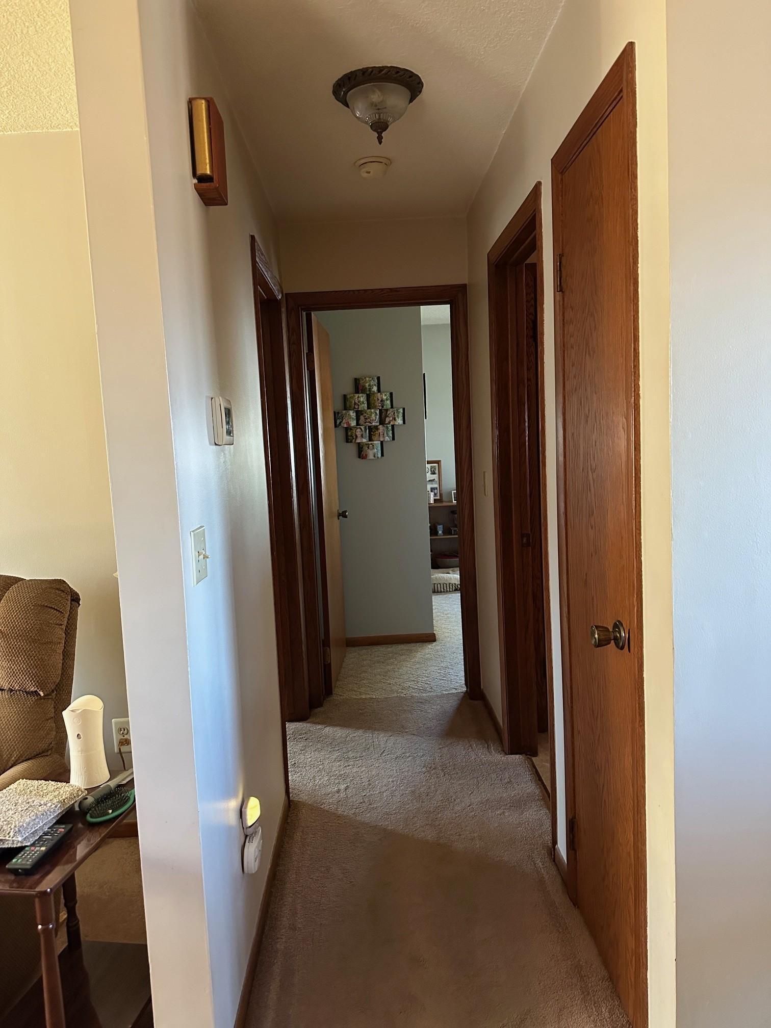 113 East Fairview Street Spring Valley, MN 55975 - Photo 21 of 36