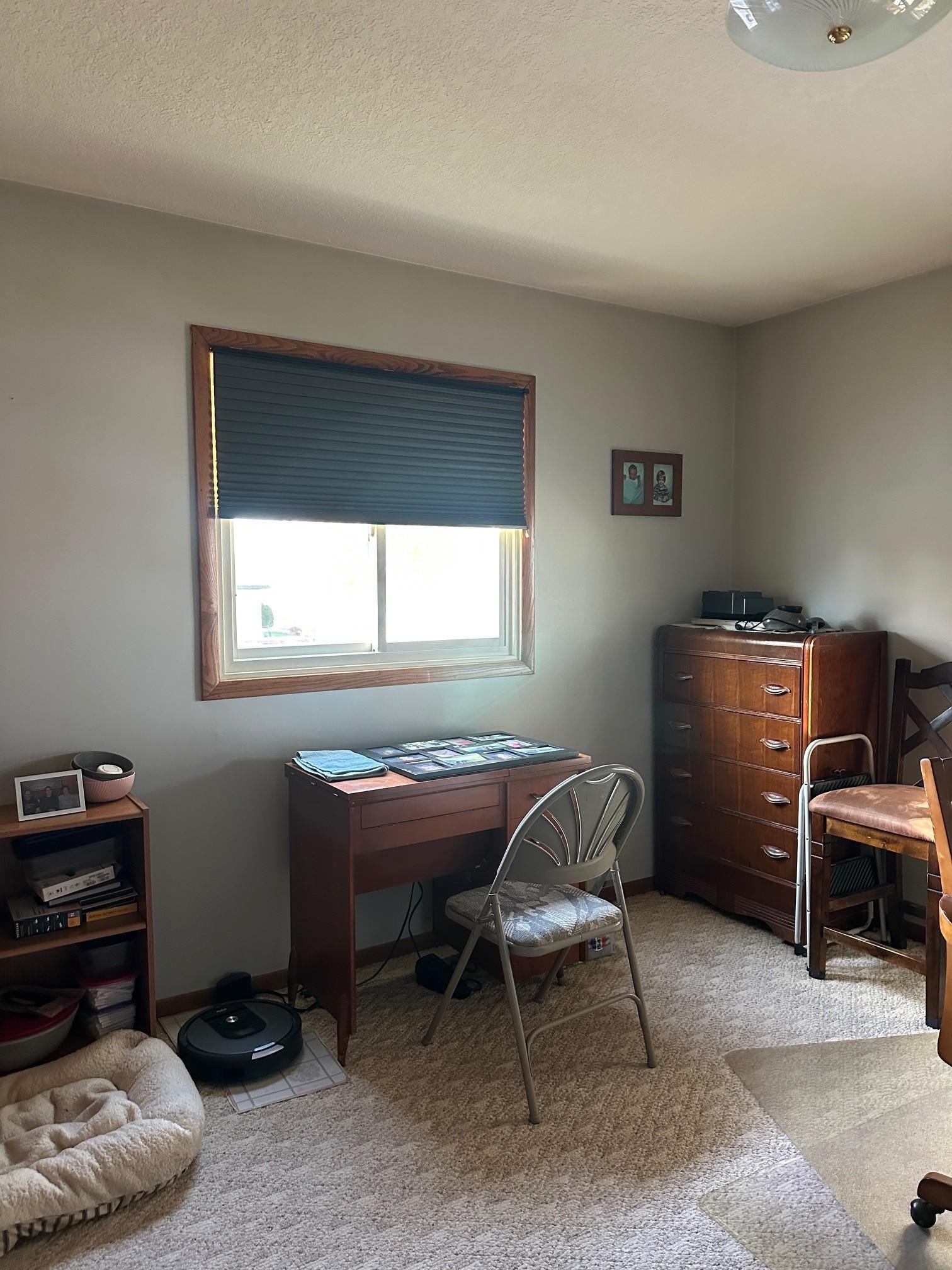 113 East Fairview Street Spring Valley, MN 55975 - Photo 25 of 36