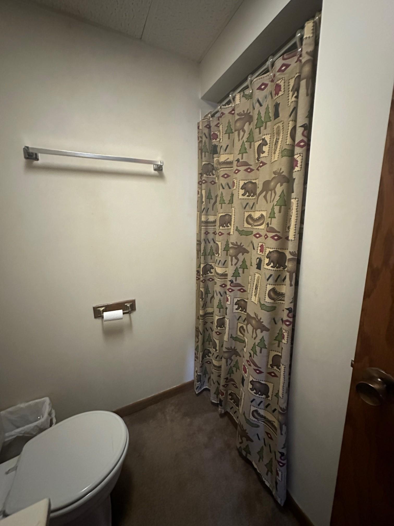 113 East Fairview Street Spring Valley, MN 55975 - Photo 28 of 36