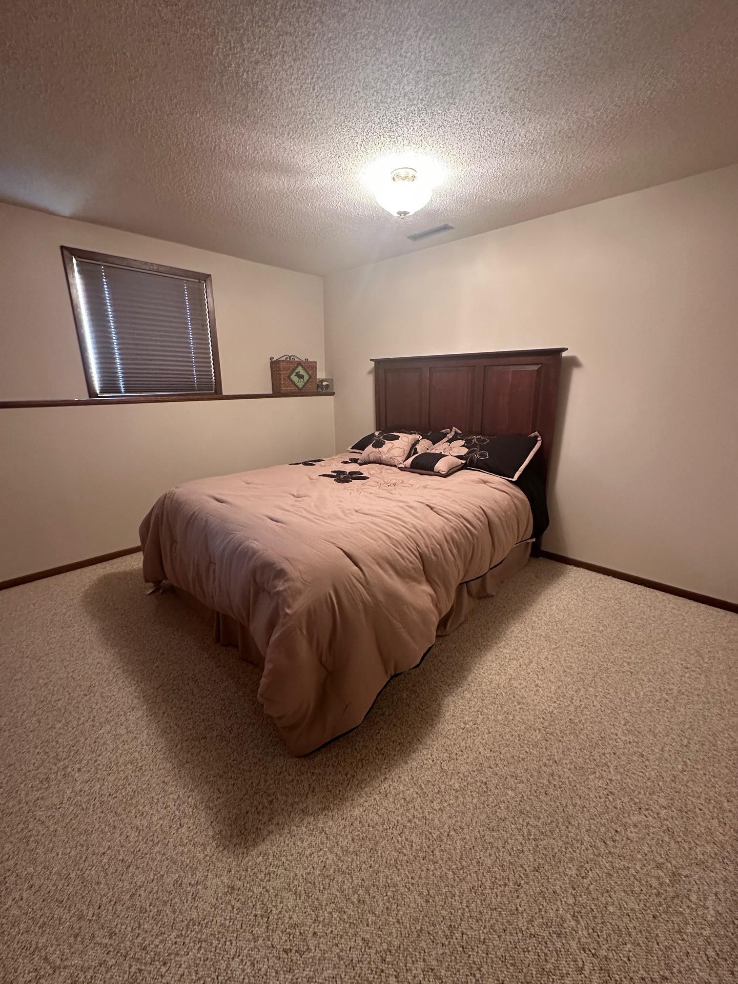 113 East Fairview Street Spring Valley, MN 55975 - Photo 29 of 36