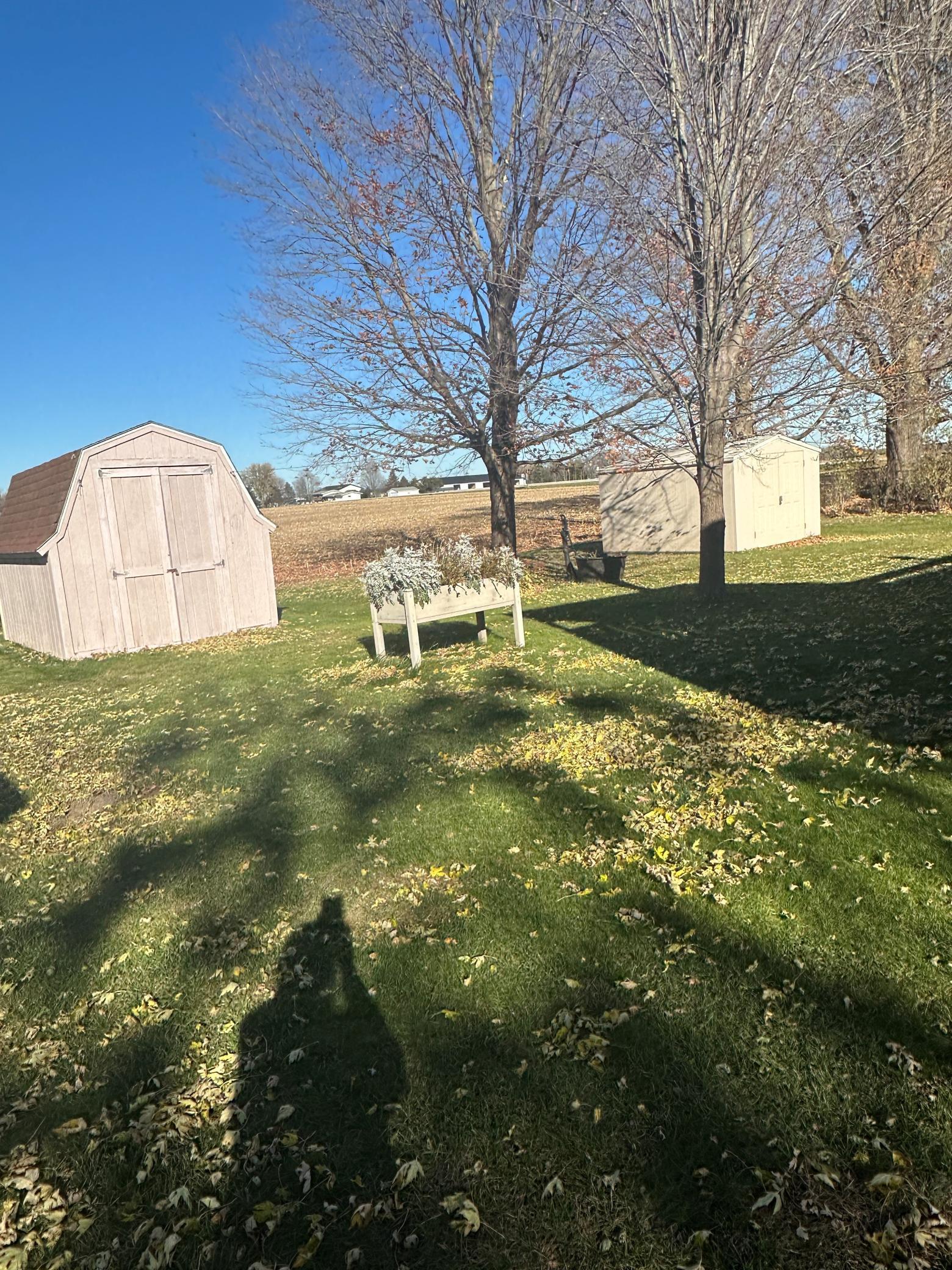 113 East Fairview Street Spring Valley, MN 55975 - Photo 33 of 36