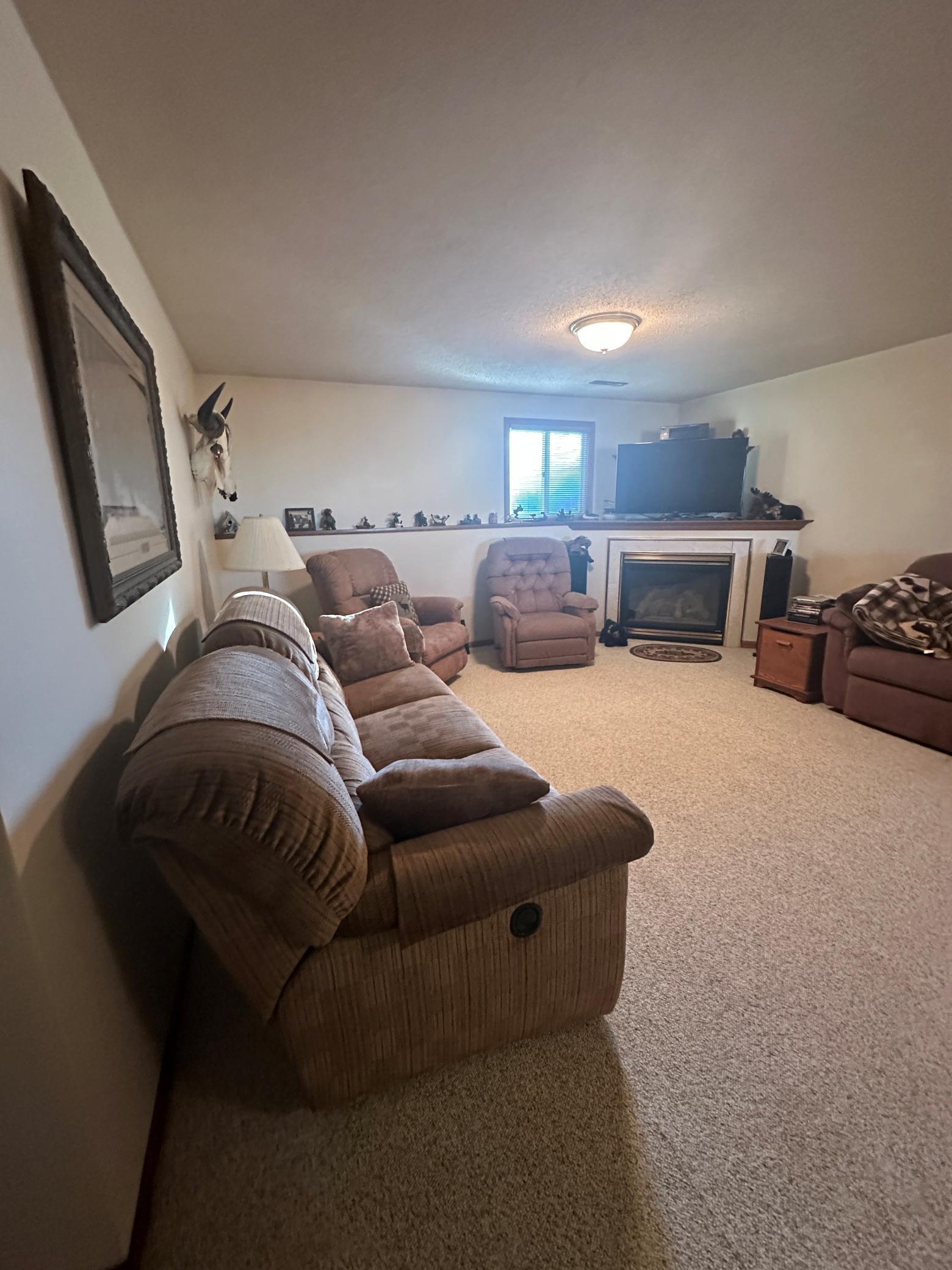 113 East Fairview Street Spring Valley, MN 55975 - Photo 9 of 36