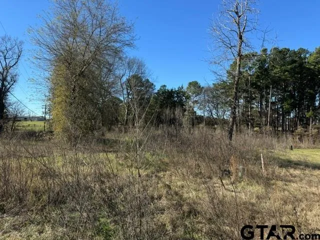a view of a yard of a house