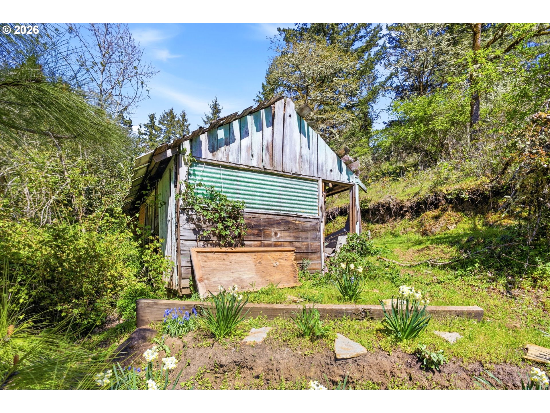 38775 Golden Valley Drive Lebanon, OR 97355 - Photo 24 of 36 a view of a yard in front of the house