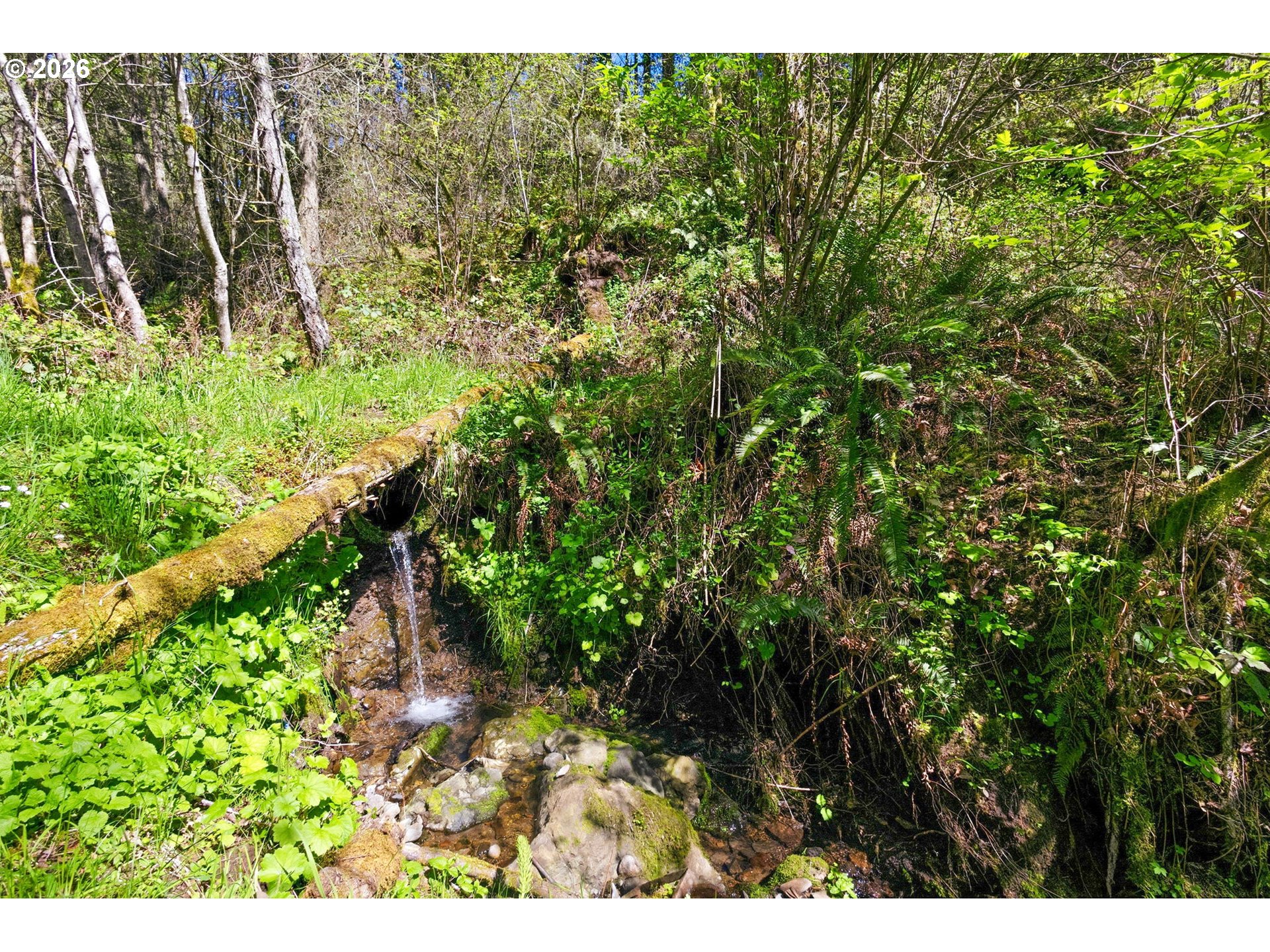 38775 Golden Valley Drive Lebanon, OR 97355 - Photo 27 of 36