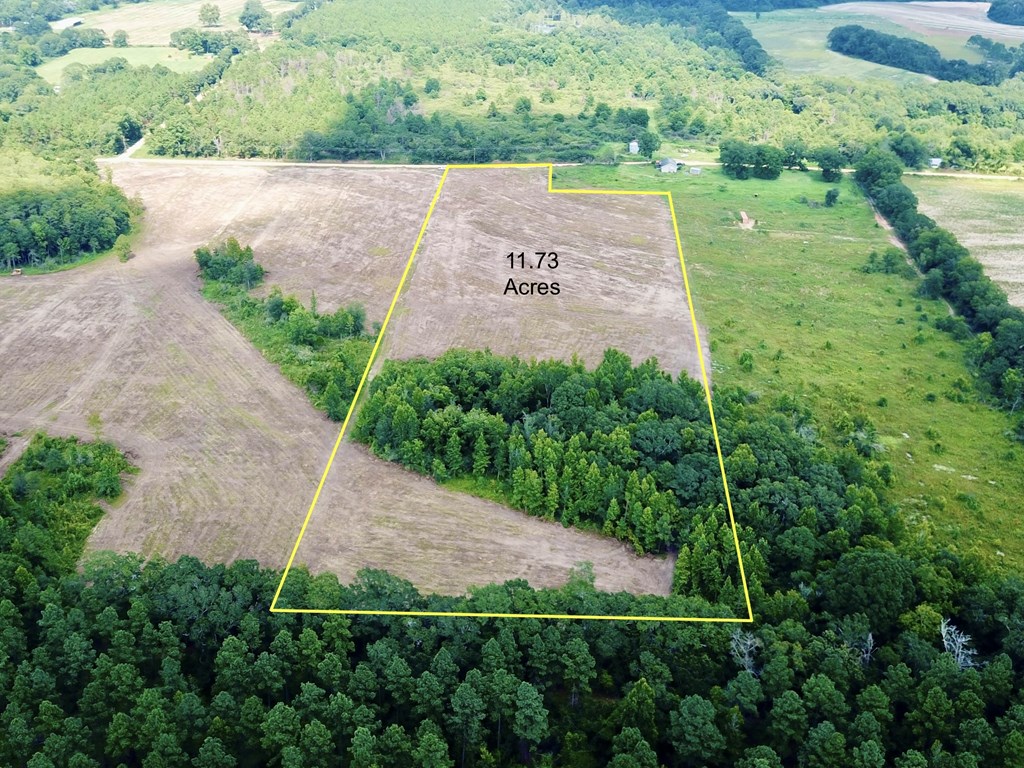 L5 New Hinson Road Slocomb, AL 36375 - Photo 2 of 23