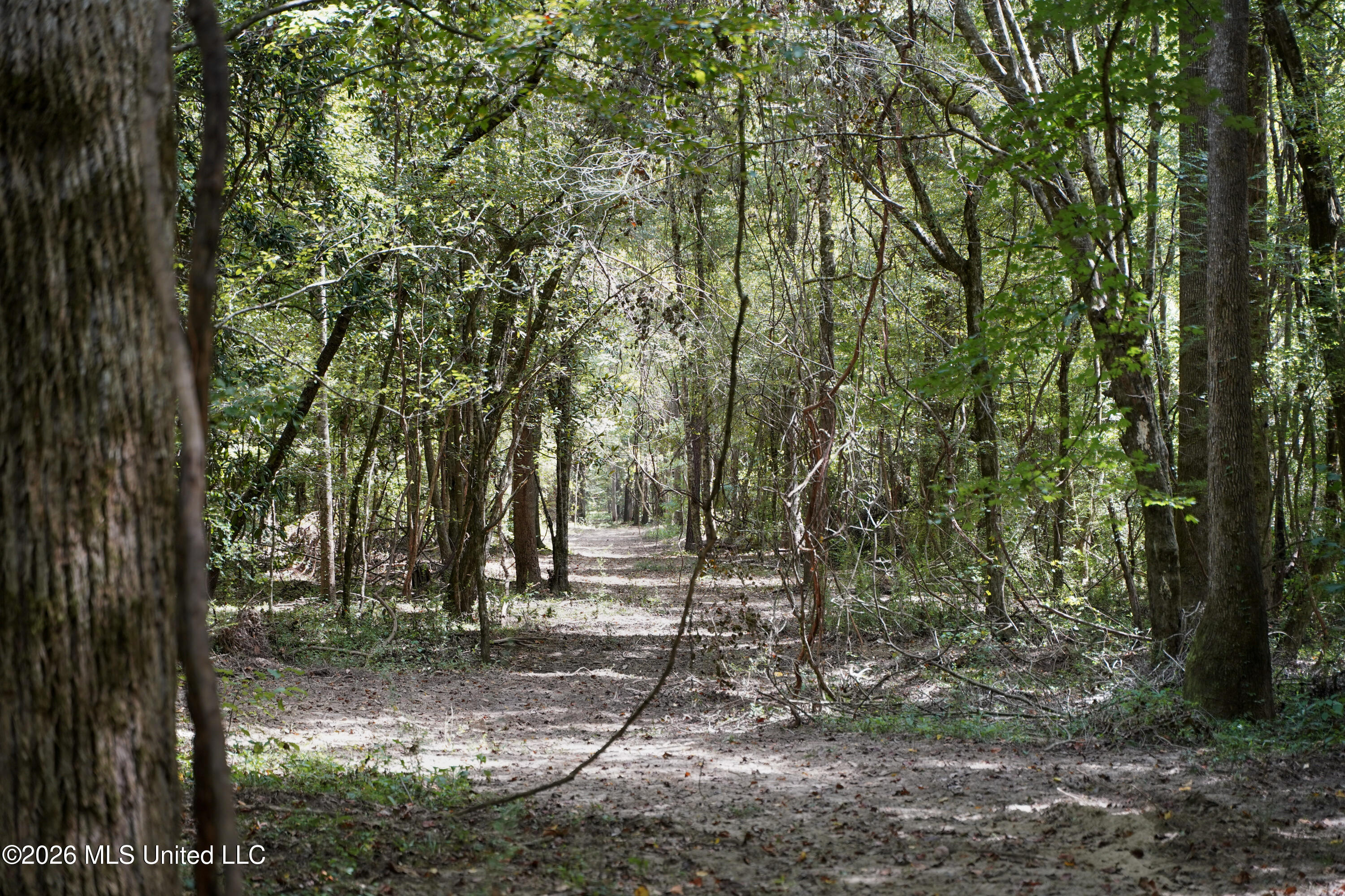 Mcintyre Road Brandon, MS 39042 - Photo 32 of 100 50-DSC08633
