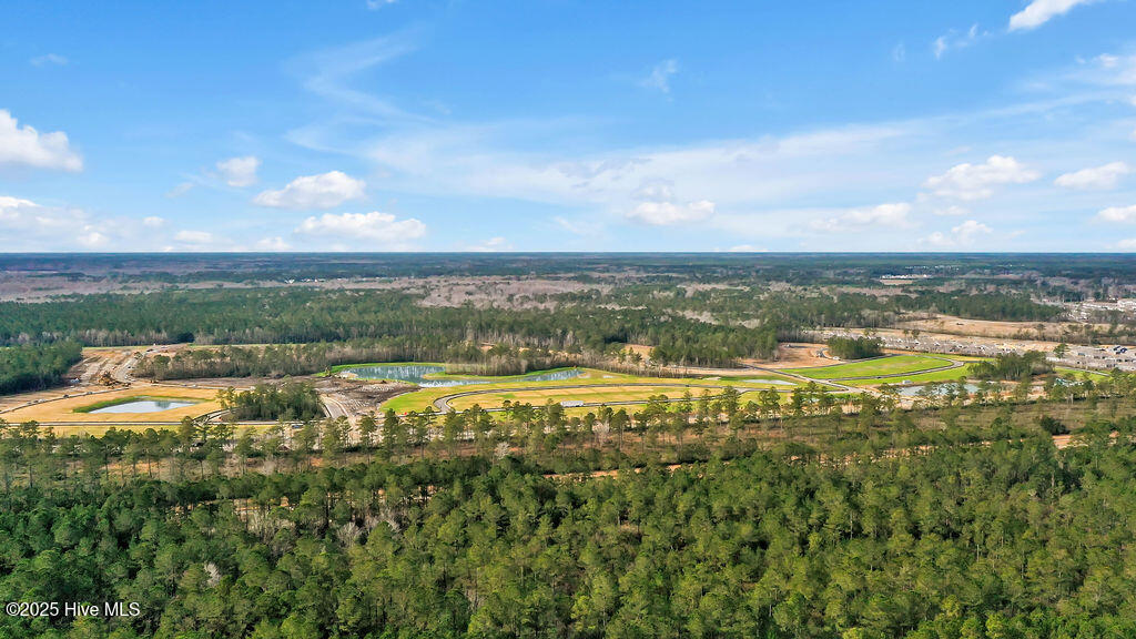 2186 Sweetspire Street, Unit 2019 Leland, NC 28451 - Photo 31 of 44 IndigoPreserve-DRHorton-3