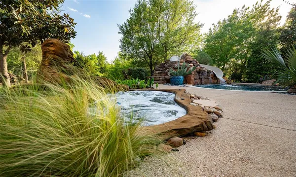 a view of a yard with plants and trees