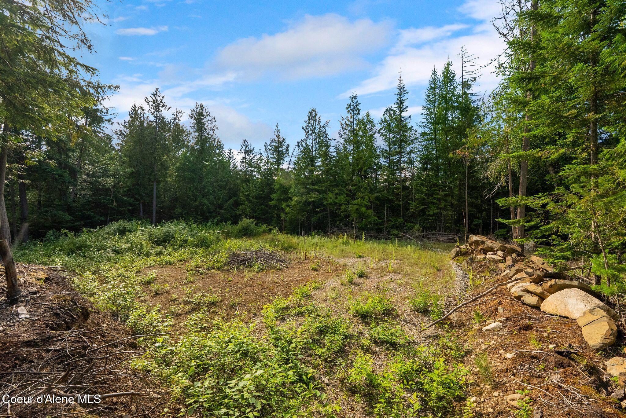 9782 Bottle Bay Road Sagle, ID 83860 - Photo 1 of 12 3_KFM07862