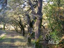 2100 Big Ridge Road Healdsburg, CA 95448 - Photo 8 of 20 a view of a lake view
