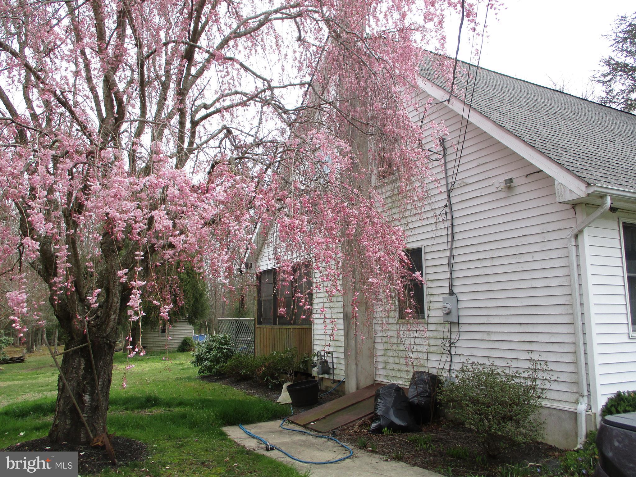 50 Crow Pond Road Elmer, NJ 08318 - Photo 2 of 16