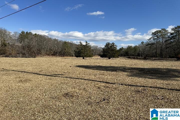1036 Rushing Springs Road Lincoln, AL 35096 - Photo 45 of 58