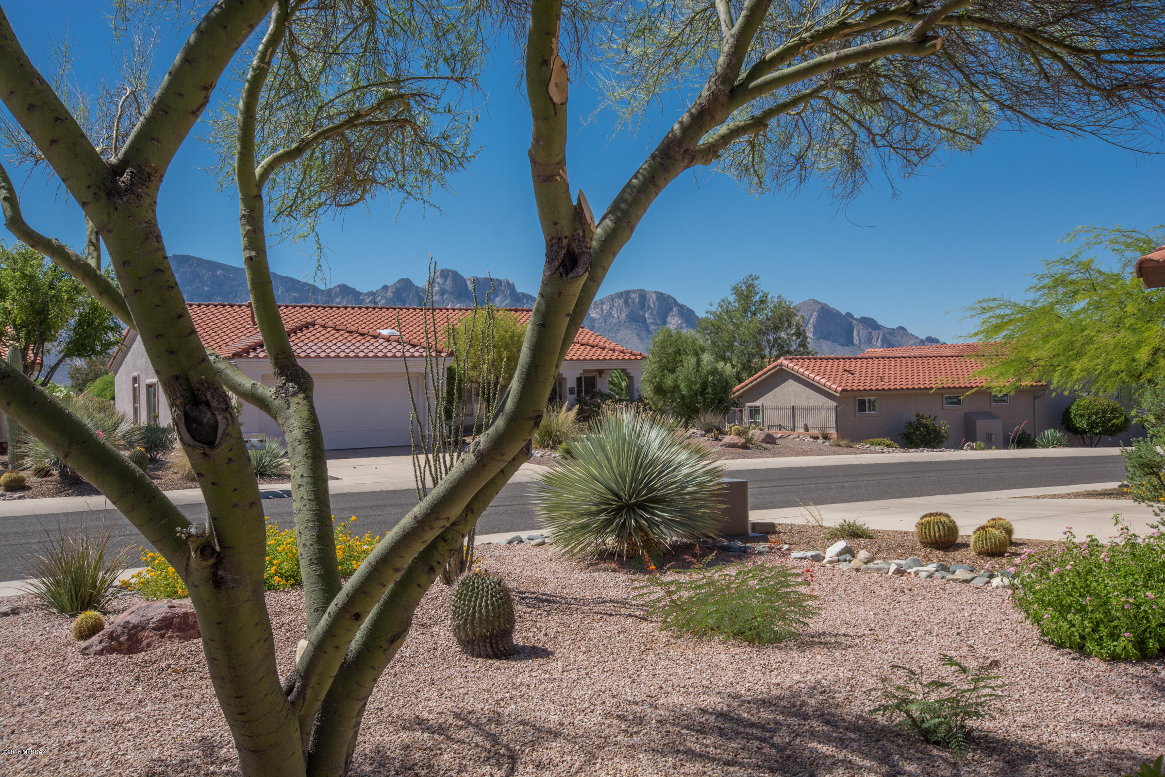 2325 East Coreopsis Way Tucson, AZ 85755 - Photo 3 of 34