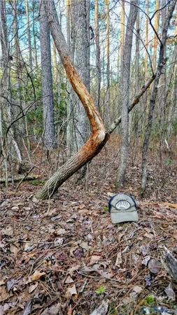 $649,500 | 0 Loblolly Lane, Disputanta, VA 23842