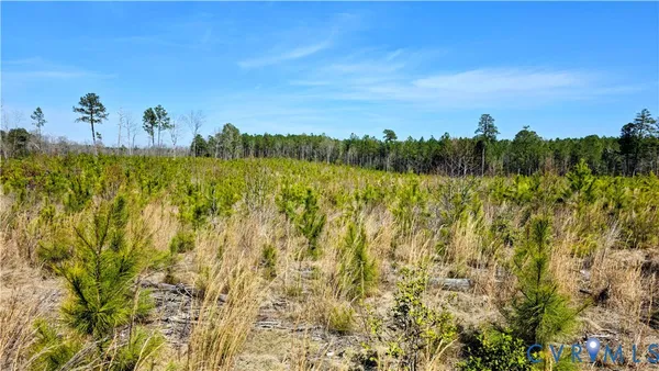 $649,500 | 0 Loblolly Lane, Disputanta, VA 23842