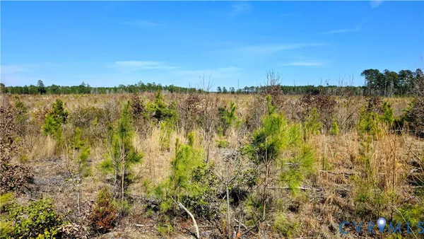 $649,500 | 0 Loblolly Lane, Disputanta, VA 23842