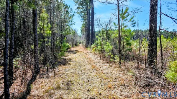 $649,500 | 0 Loblolly Lane, Disputanta, VA 23842