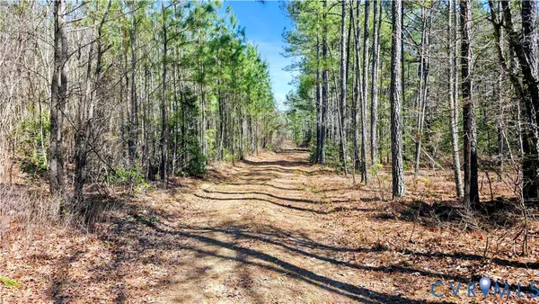 $649,500 | 0 Loblolly Lane, Disputanta, VA 23842