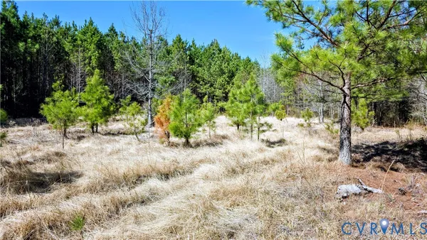 $649,500 | 0 Loblolly Lane, Disputanta, VA 23842