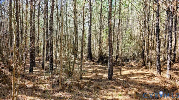 $649,500 | 0 Loblolly Lane, Disputanta, VA 23842