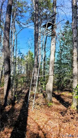 $649,500 | 0 Loblolly Lane, Disputanta, VA 23842