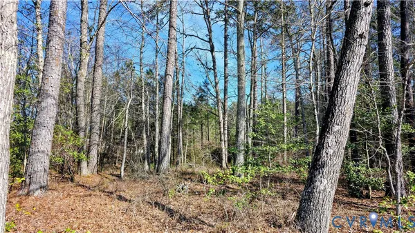 $649,500 | 0 Loblolly Lane, Disputanta, VA 23842