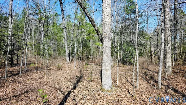 $649,500 | 0 Loblolly Lane, Disputanta, VA 23842