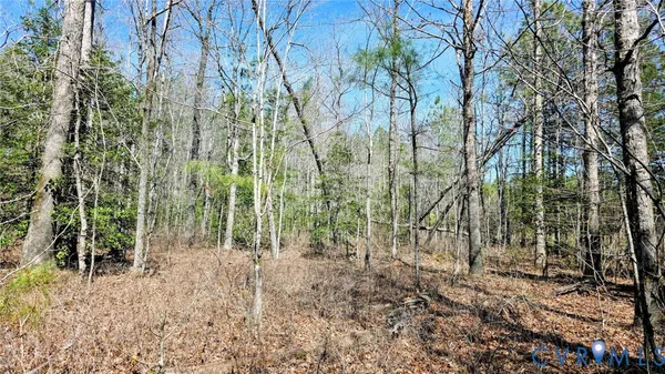 $649,500 | 0 Loblolly Lane, Disputanta, VA 23842