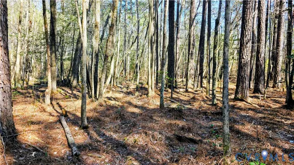 $649,500 | 0 Loblolly Lane, Disputanta, VA 23842