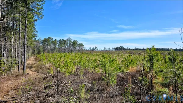 $649,500 | 0 Loblolly Lane, Disputanta, VA 23842