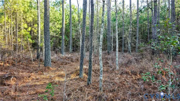 $649,500 | 0 Loblolly Lane, Disputanta, VA 23842