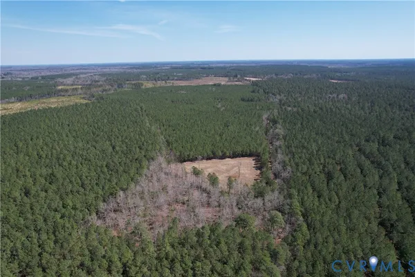 $649,500 | 0 Loblolly Lane, Disputanta, VA 23842
