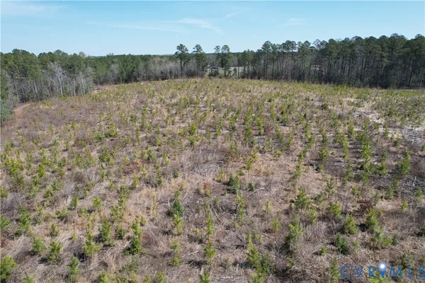 $649,500 | 0 Loblolly Lane, Disputanta, VA 23842