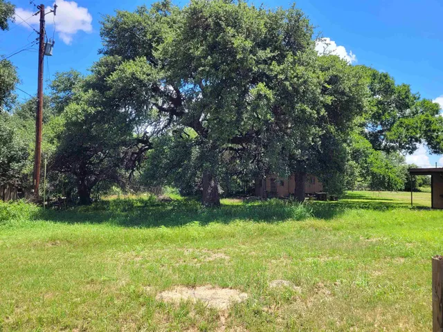 a view of a backyard with large trees