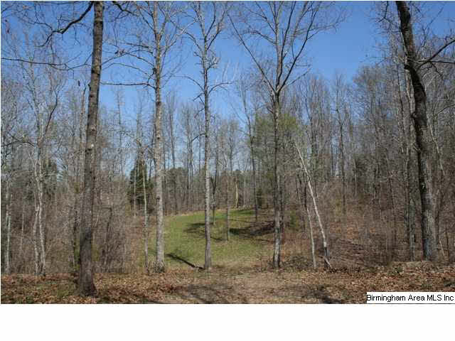 0 Silley Dean Road Northwest, Unit 277 AC Pinson, AL 35126 - Photo 11 of 19
