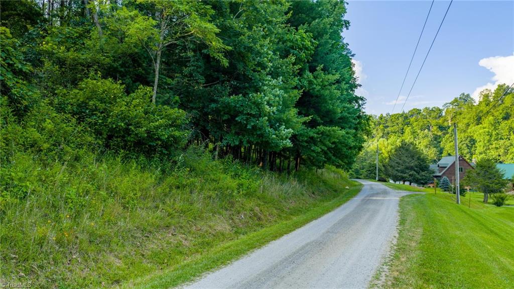 16 Bill Cooper Road Crumpler, NC 28617 - Photo 5 of 21 Gallery Image 5