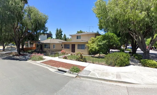 a view of a yard with plants and trees