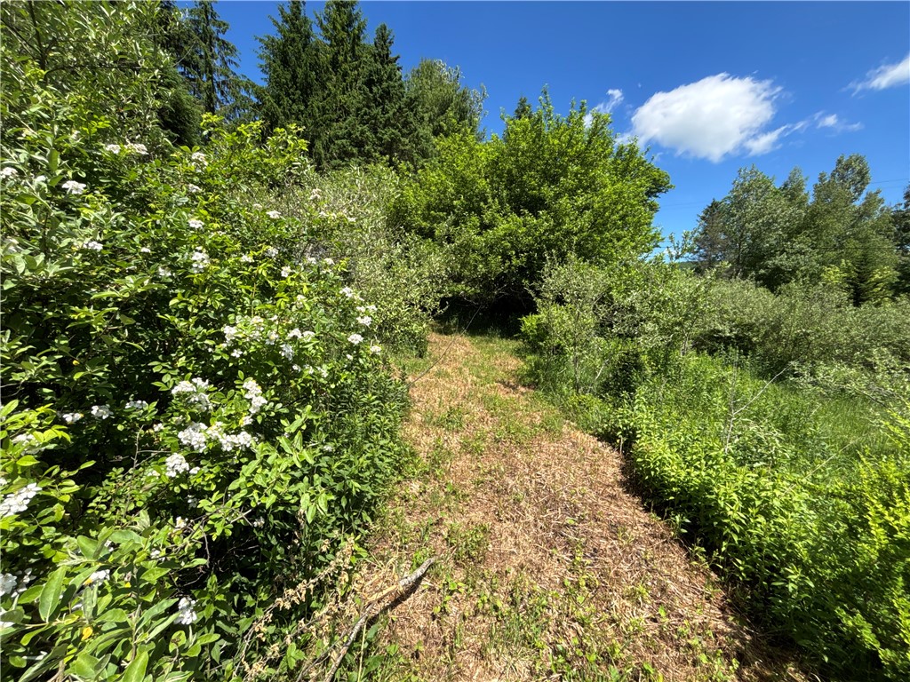 2636 Murphy Hill Road Andes, NY 13731 - Photo 21 of 33