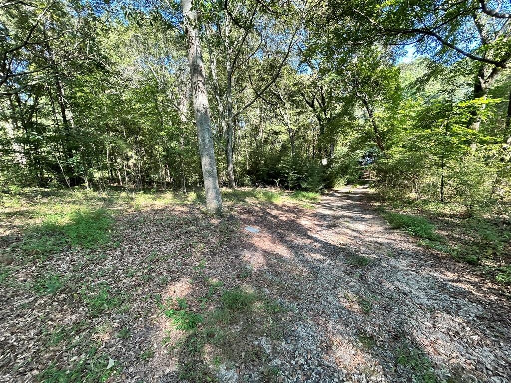 31 Creekwood Road Winder, GA 30680 - Photo 3 of 14 a view of outdoor space with trees all around