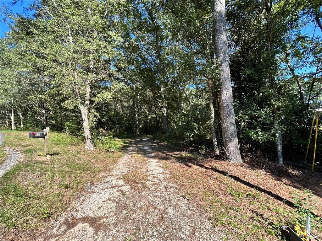 31 Creekwood Road Winder, GA 30680 - Photo 4 of 14 a view of a tree with a yard