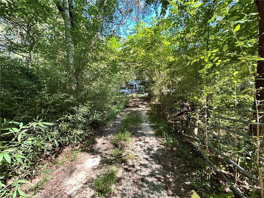 31 Creekwood Road Winder, GA 30680 - Photo 5 of 14 a view of a tree in a yard