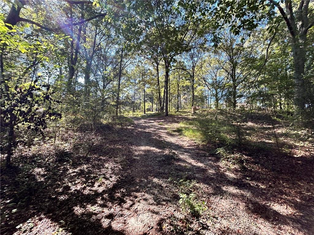 31 Creekwood Road Winder, GA 30680 - Photo 7 of 14 a view of outdoor space with trees