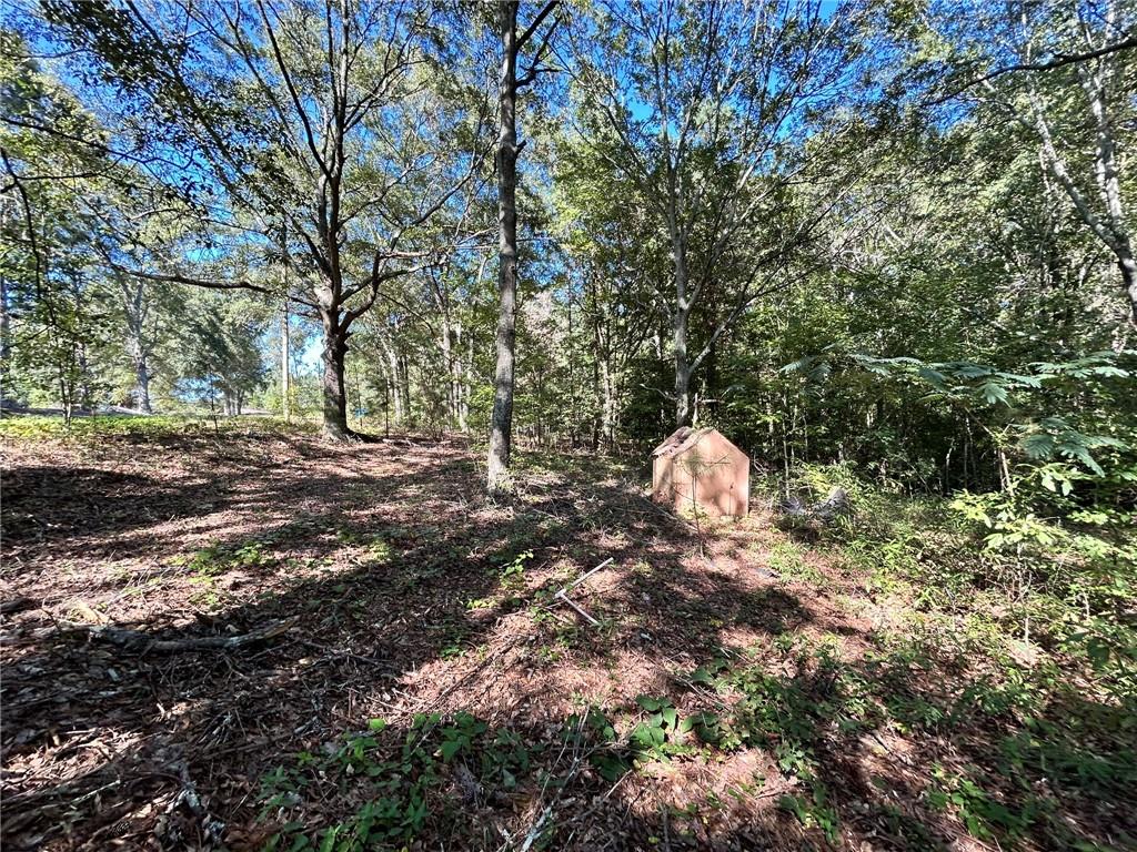 31 Creekwood Road Winder, GA 30680 - Photo 8 of 14 a fire hydrant in middle of the forest