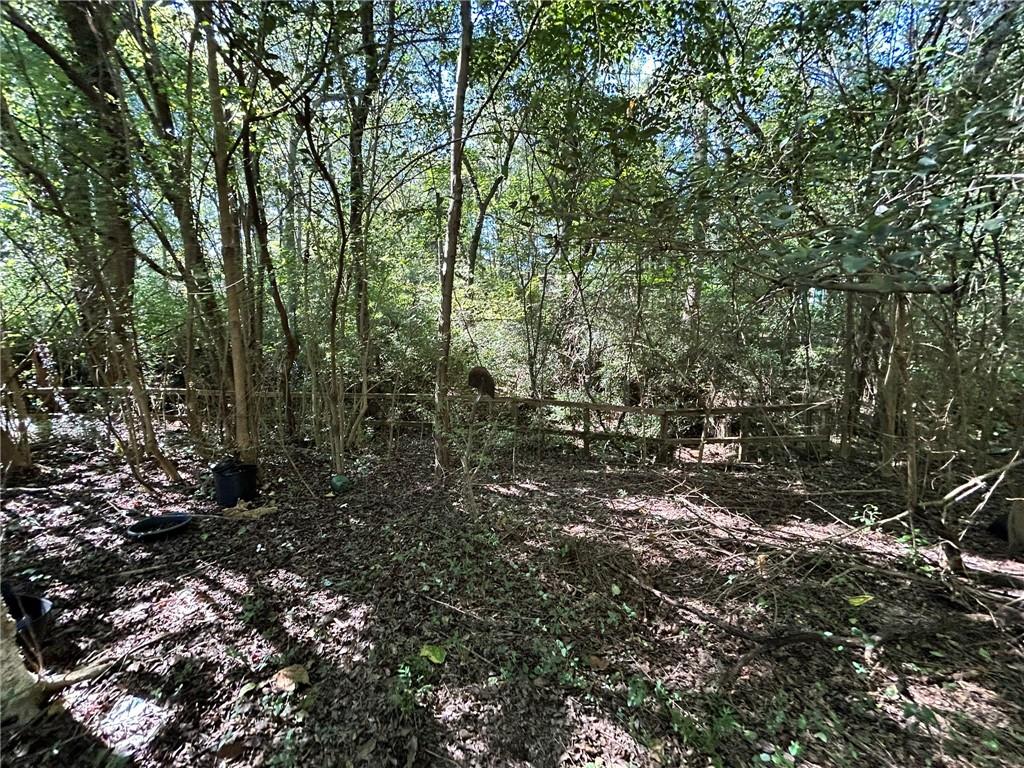 31 Creekwood Road Winder, GA 30680 - Photo 9 of 14 a view of a forest with trees in the background