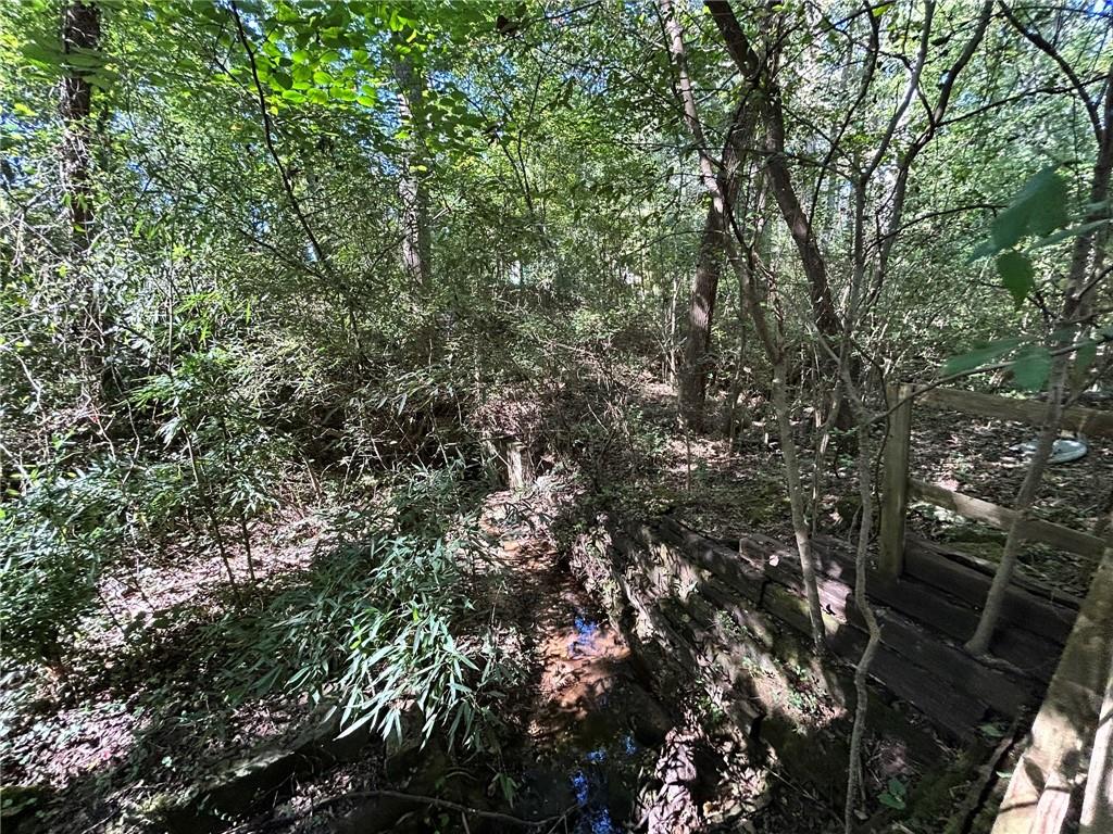31 Creekwood Road Winder, GA 30680 - Photo 10 of 14 a view of a tree
