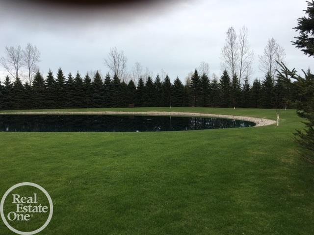 6595 Comstock Road Jeddo, MI 48032 - Photo 47 of 56 31288901-46.JPG