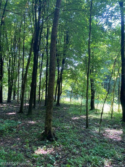 7 Sleaford-parcel 7 - 2 Acres Road Howell, MI 48843 - Photo 4 of 45